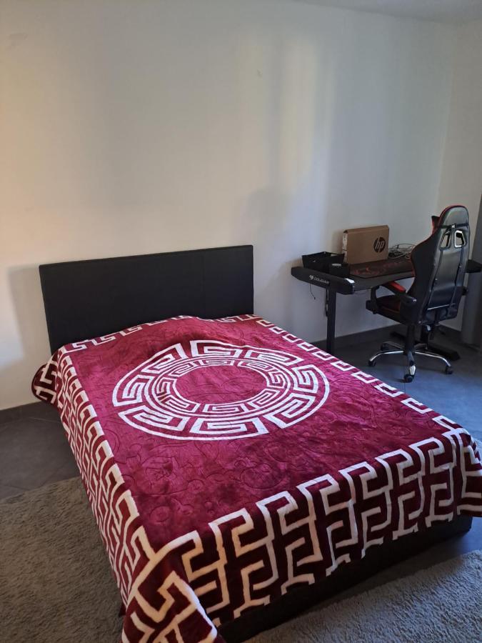 Drissia&Othman Estilo Apartment Carcassonne Bagian luar foto
